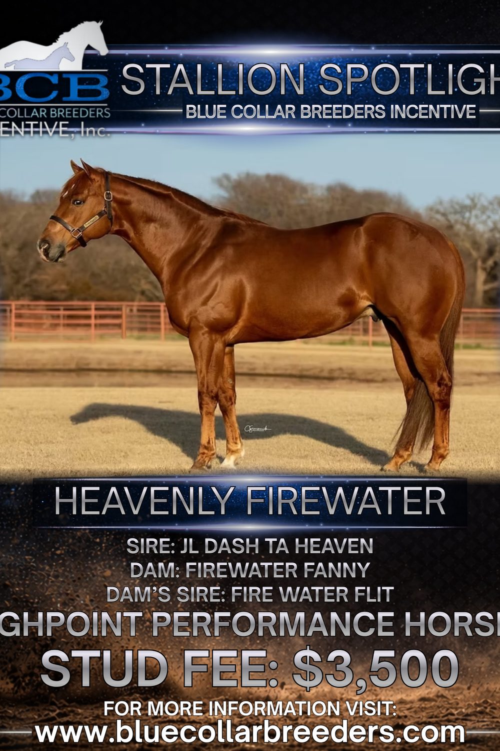 Heavenly Firewater stallion advertising design by Iron Sharp Media