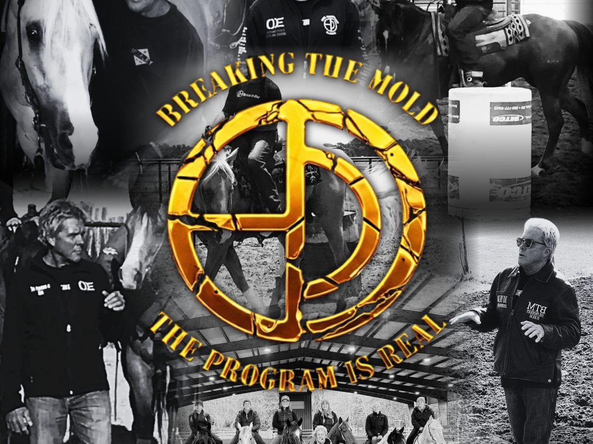 16 Years anniversary graphic design