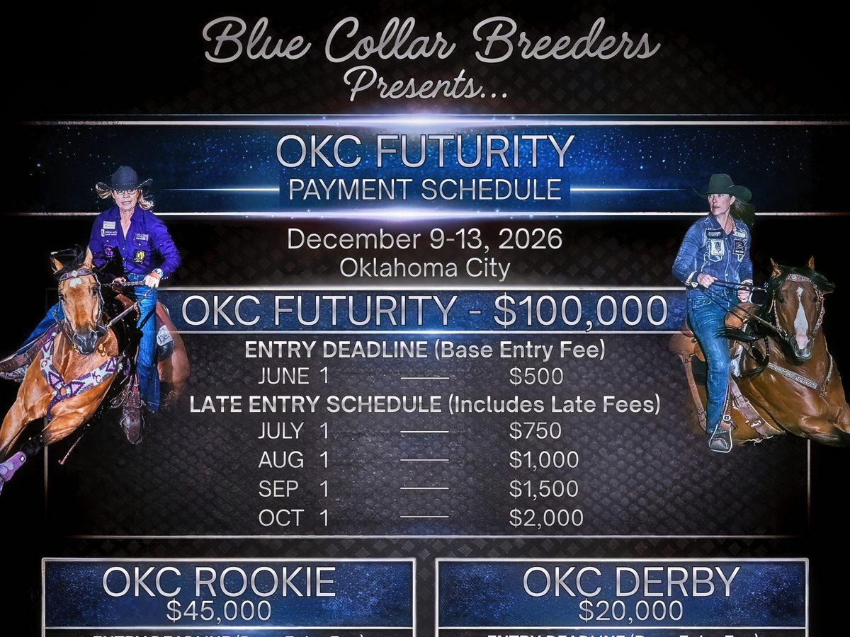 BCB event series schedule graphic design