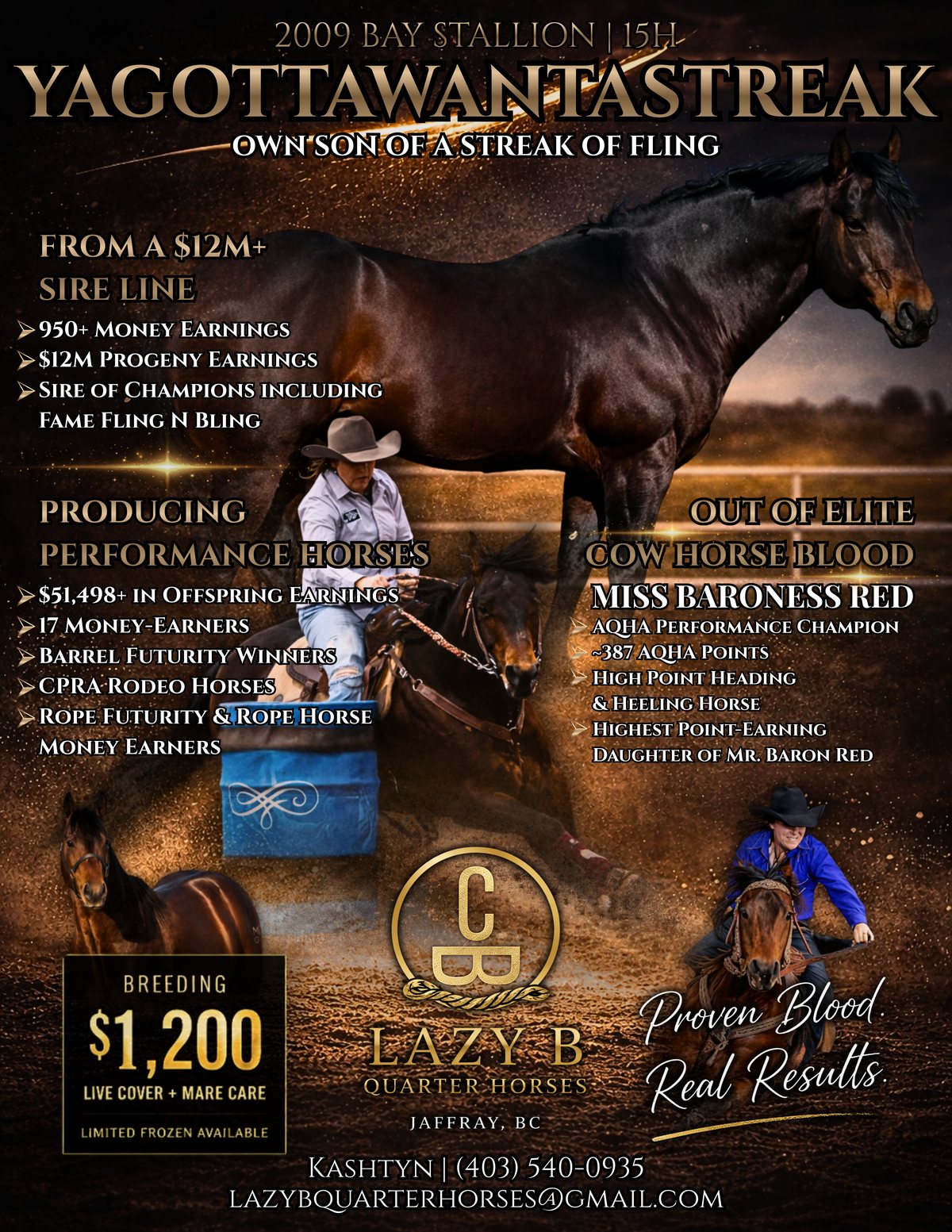 YAGOTTAWANTASTREAK stallion advertising for Lazy B Quarter Horses